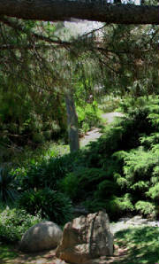 arbortium.jpg