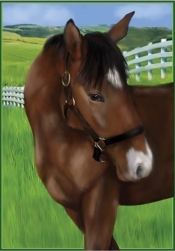horseflag.jpg